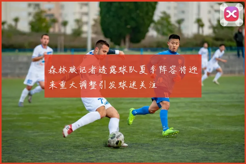 森林狼记者透露球队夏季阵容将迎来重大调整引发球迷关注